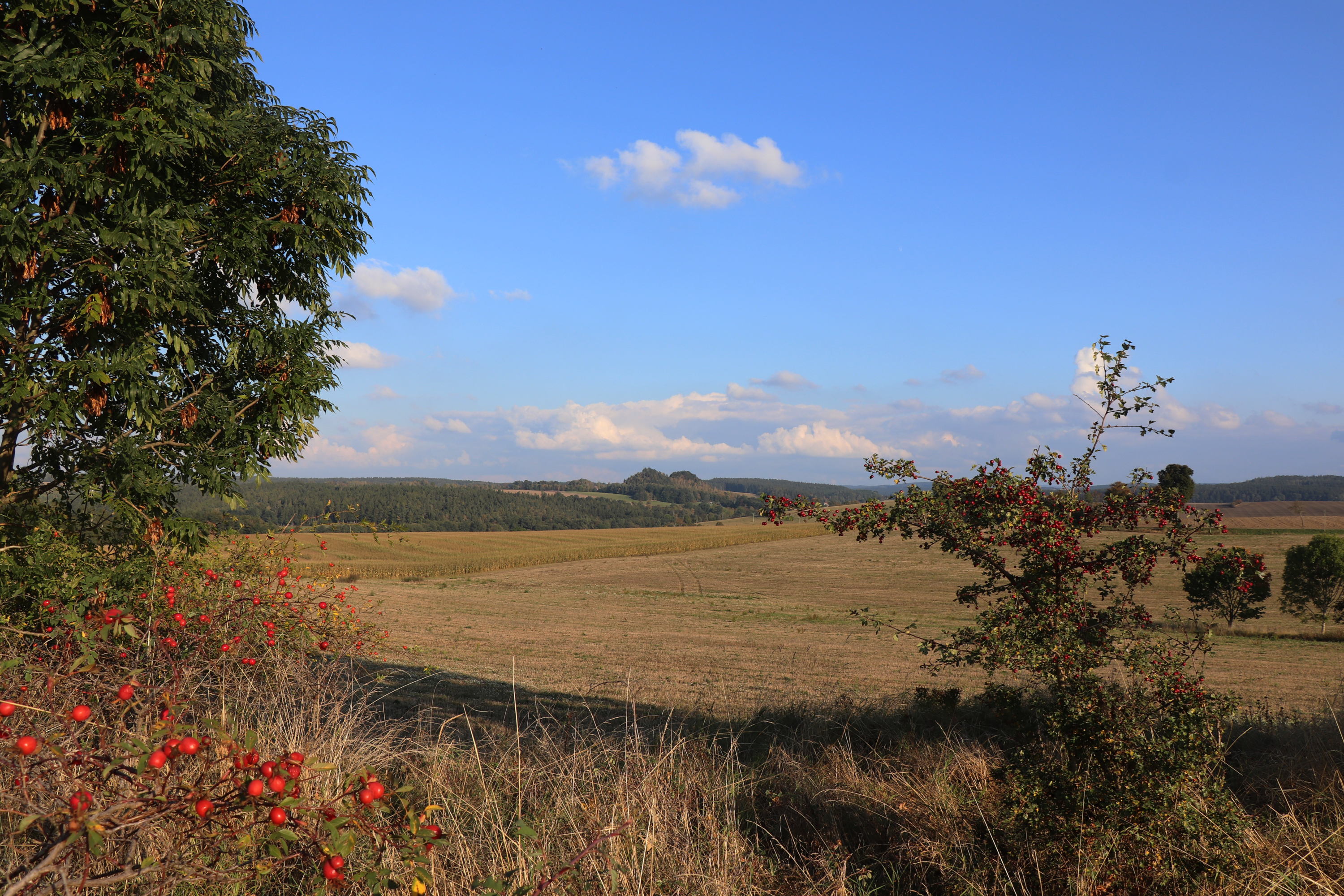Blick auf Mechelgrün